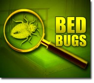 bedbug1